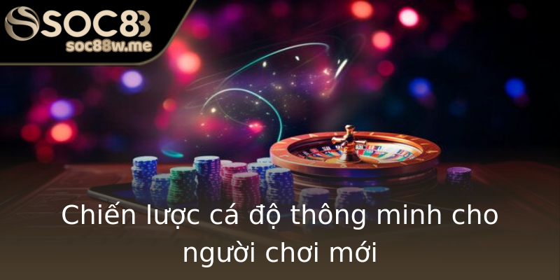 Chiến lược cá độ thông minh cho người chơi mới Chiến lược cá độ thông minh cho người chơi mới