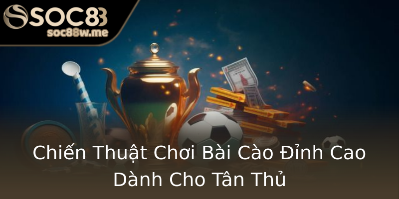 Chiến Thuật Chơi Bài Cào Đỉnh Cao Dành Cho Tân Thủ Chiến Thuật Chơi Bài Cào Đỉnh Cao Dành Cho Tân Thủ