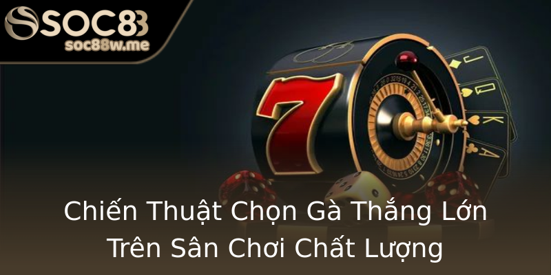 Chiến Thuật Chọn Gà Thắng Lớn Trên Sân Chơi Chất Lượng Chiến Thuật Chọn Gà Thắng Lớn Trên Sân Chơi Chất Lượng