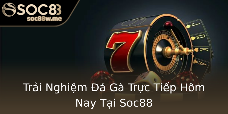Trải Nghiệm Đá Gà Trực Tiếp Hôm Nay Tại Soc88 Trải Nghiệm Đá Gà Trực Tiếp Hôm Nay Tại Soc88
